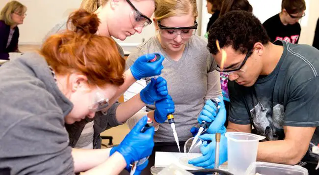 Top Biology Undergraduate Programs