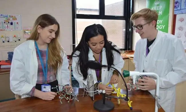 Top Biology Undergraduate Programs