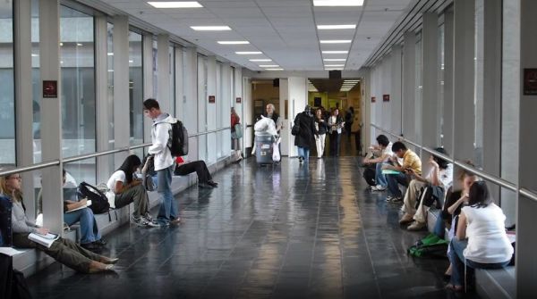 Top CUNY Colleges to Study in New York