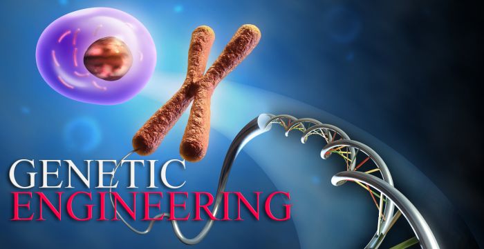 Best Colleges for Genetic Engineering