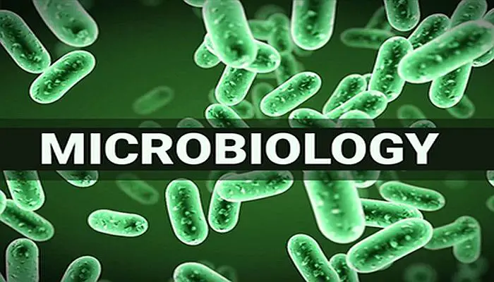 Best Colleges for Microbiology