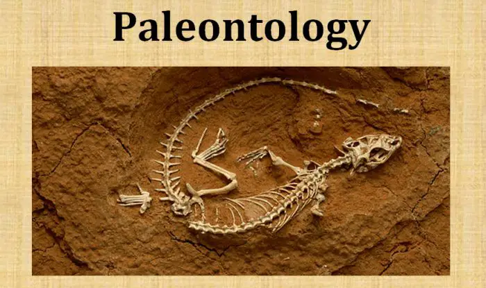 20 BEST COLLEGES FOR PALEONTOLOGY IN 2024 visual data 2