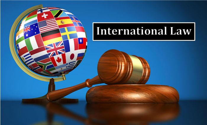 Best Schools for International Law