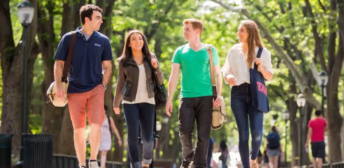 Top Undergraduate Schools in the US