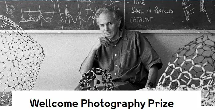 Wellcome Photography Prize 2019