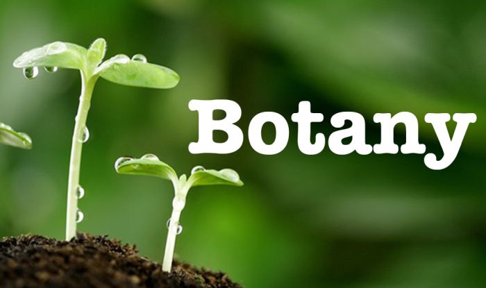Best Botany Colleges