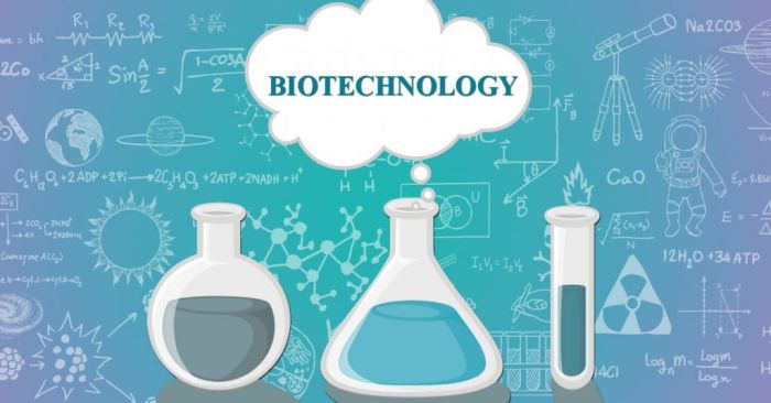 Best Colleges for Biotechnology