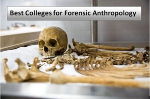 anthropology forensic