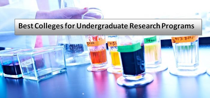 Best Colleges for Undergraduate Research Programs