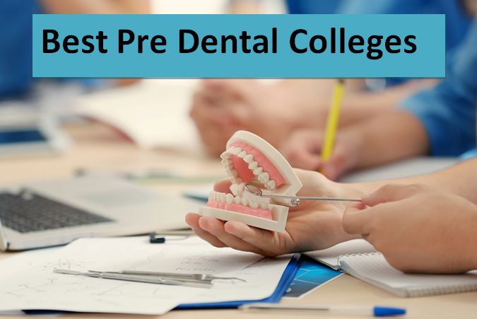 Best Pre Dental Colleges 2018-2019