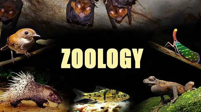 Best Zoology Colleges in the World