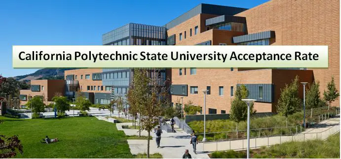 California Polytechnic State University Acceptance Rate - 2022  HelpToStudy.com 2023
