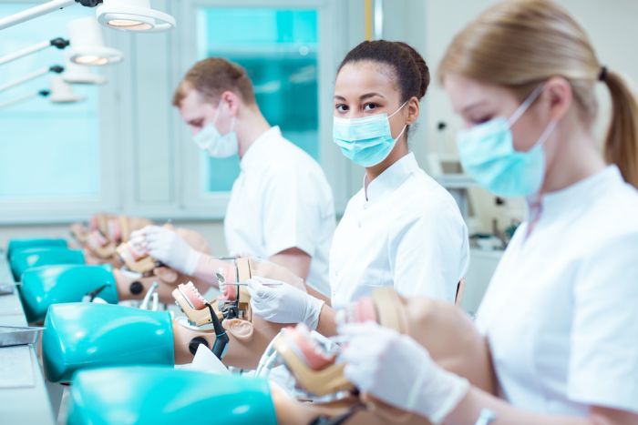 Dental Hygienist Schools Orlando – CollegeLearners.com