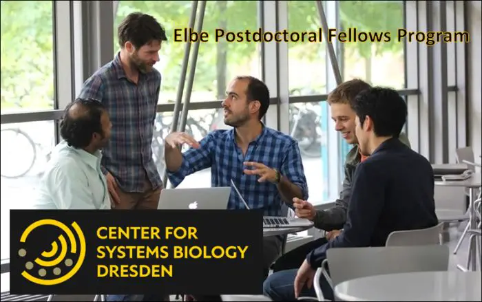 Elbe Postdoctoral Fellows Program
