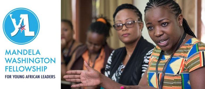 Mandela Washington Fellowship 2019