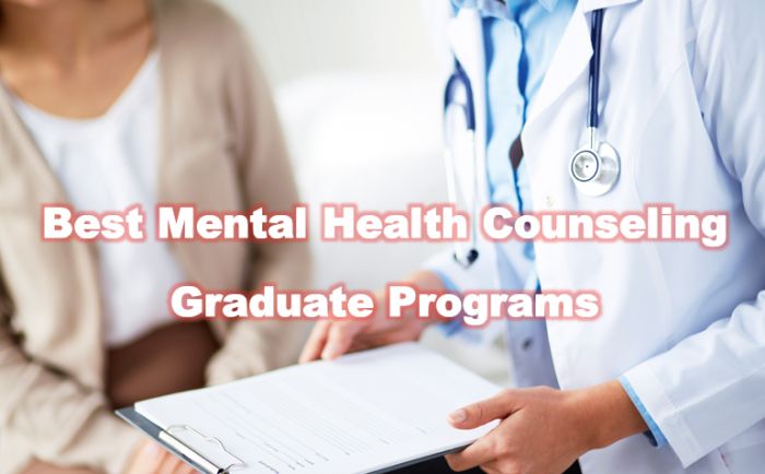 Top Mental Health Counseling Graduate Programs