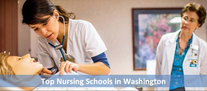 Top Nursing Schools in Washington 2018-19