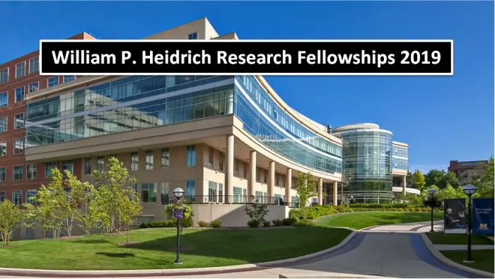 William P. Heidrich Research Fellowships 2019