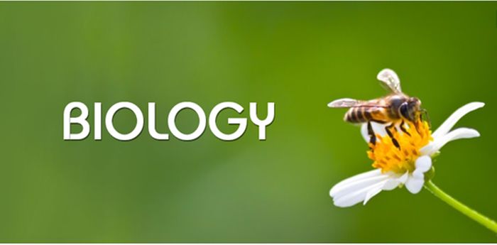 Best Biology Colleges in Massachusetts