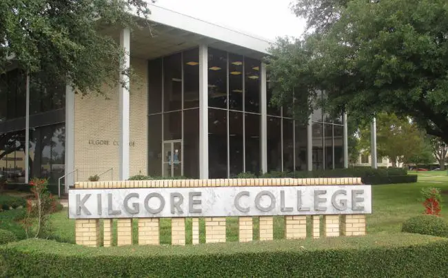 Best Colleges for Pre-Medical in Texas