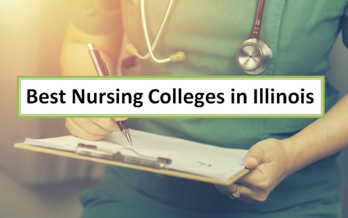 Best Nursing Colleges in Illinois