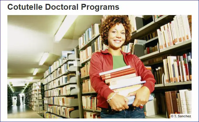 DAAD Cotutelle Doctoral Grant Programs