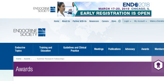 Endocrine Society Summer Research Fellowships