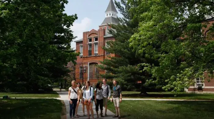 Michigan State University Gpa INFOLEARNERS