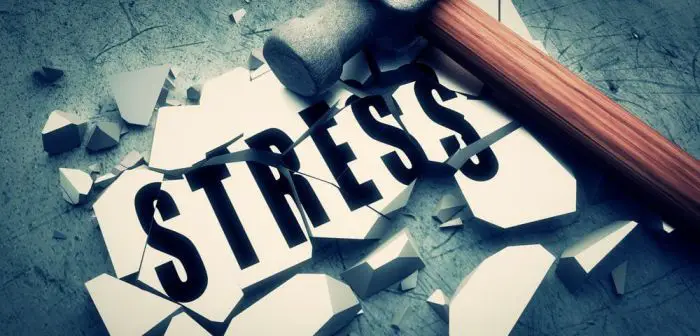 Try to Learn Something New to Relieve Stress