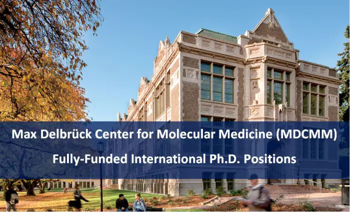 MDCMM Fully-Funded International Ph.D. Positions
