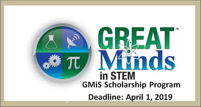 GMiS Scholarship Program