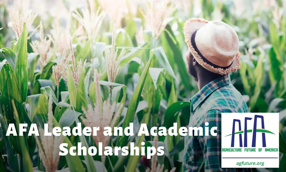 AFA Leader and Academic Scholarships