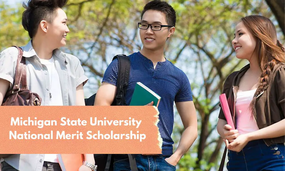 Michigan State University National Merit Scholarship