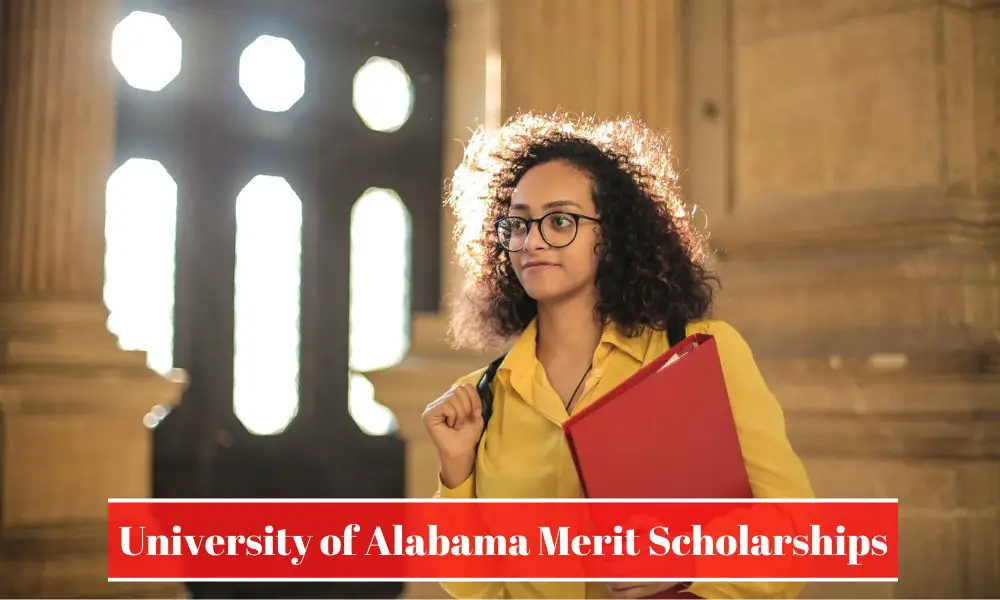 University of Alabama Merit Scholarships