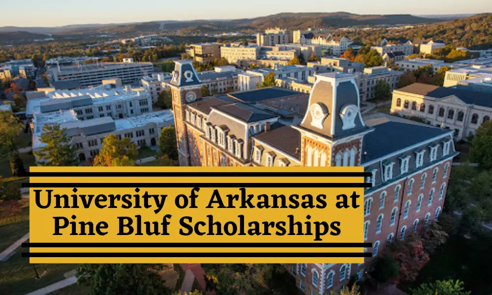 University of Arkansas at Pine Bluff Scholarships