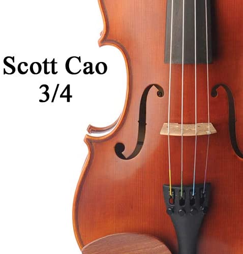 Scott Cao Violin Outfit 3/4 Size Model STV017