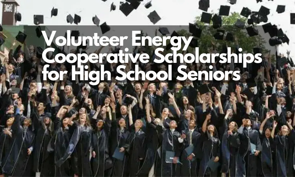 Volunteer Energy Cooperative Scholarships for High School Seniors