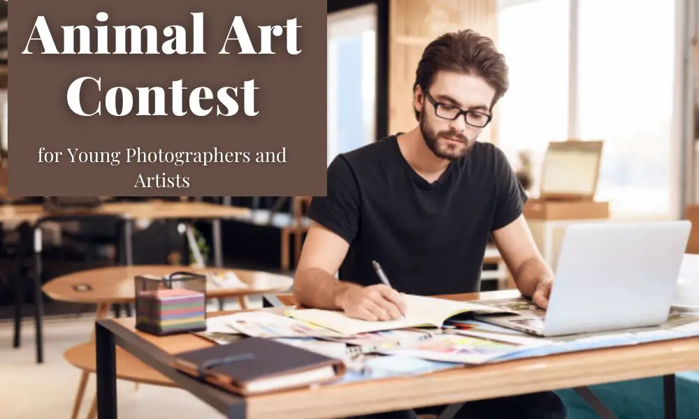Animal Art Contest for Young Photographers and Artists