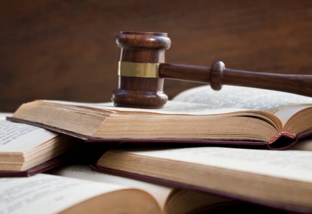 Best Courses to do in Germany