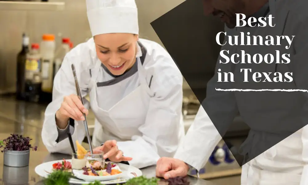 Best Culinary Schools in Texas