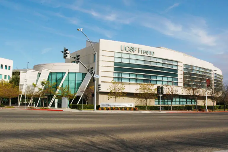 Best Pre-Med Courses to Take