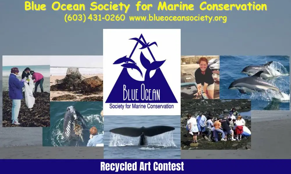 Blue Ocean Society Recycled Art Contest for Children and Adults