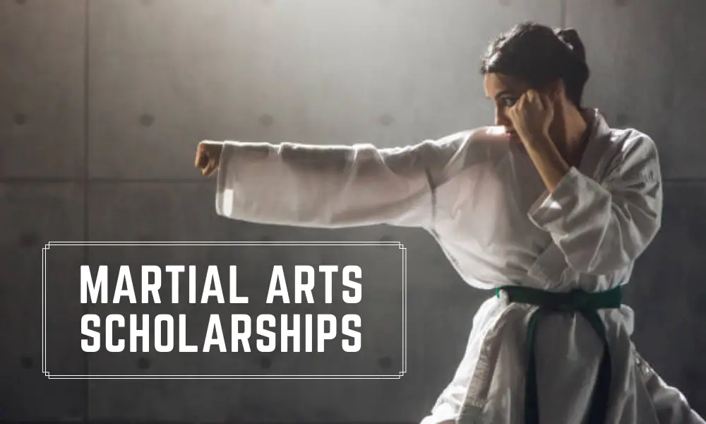 Martial Arts Scholarships