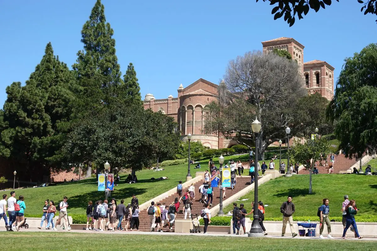 UCLA Best Majors 1