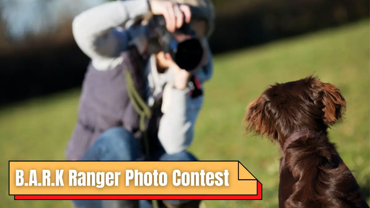 B.A.R.K Ranger Photo Contest