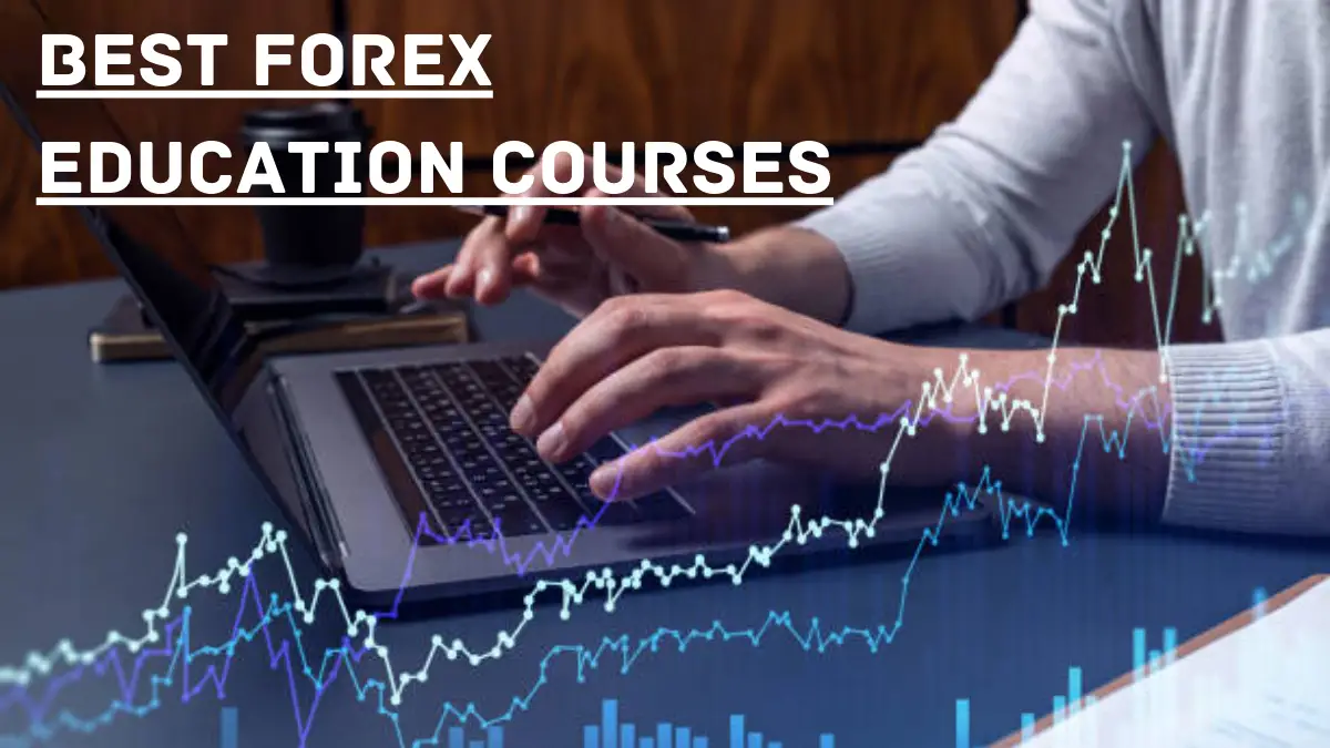Forex education training forex tenders