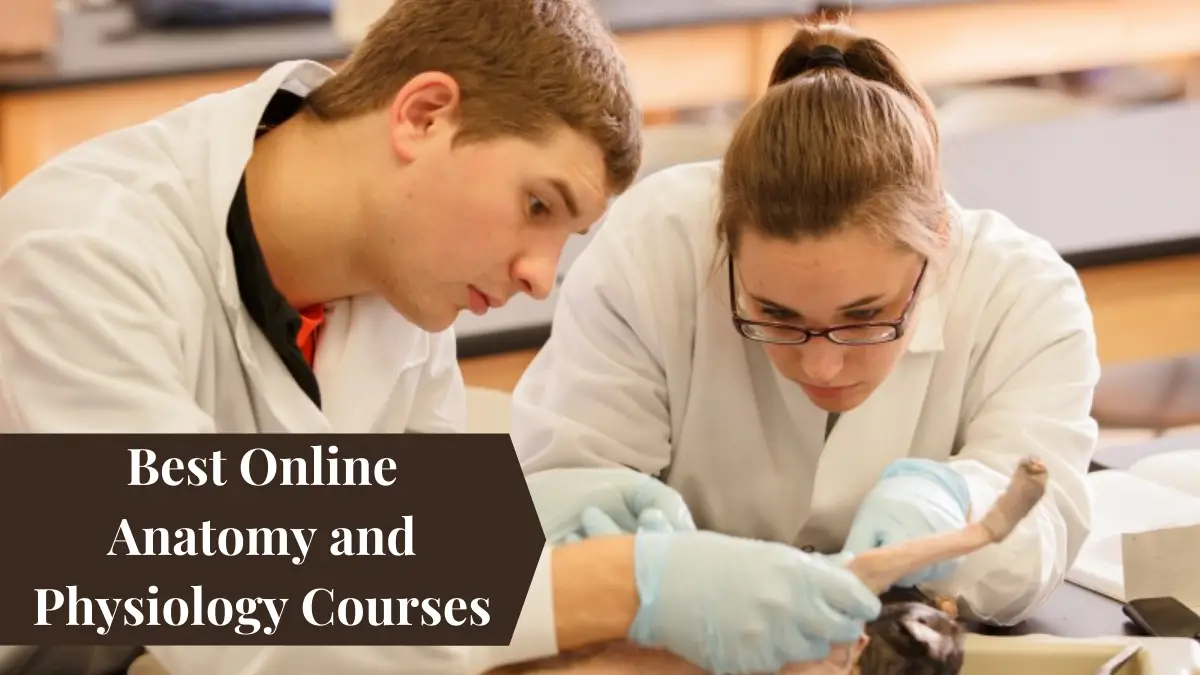 Best Online Anatomy and Physiology Courses