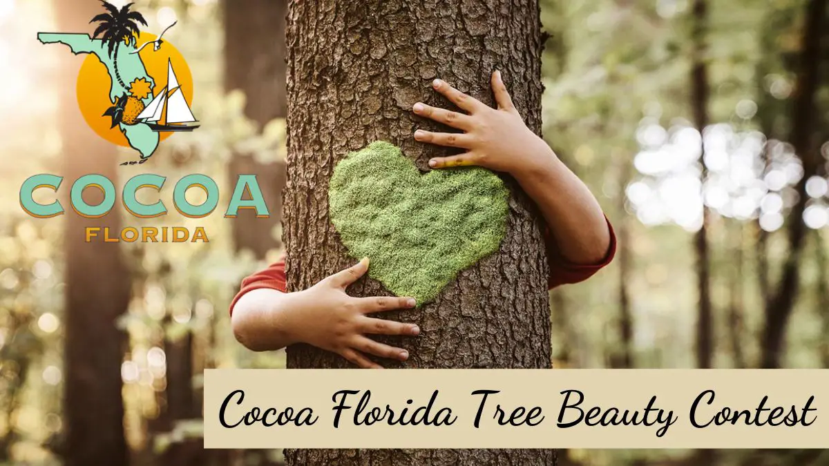 Cocoa Florida Tree Beauty Contest