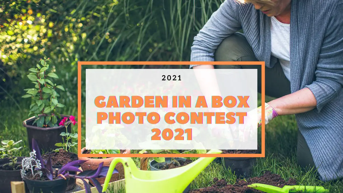 Garden in a Box Photo Contest 2021