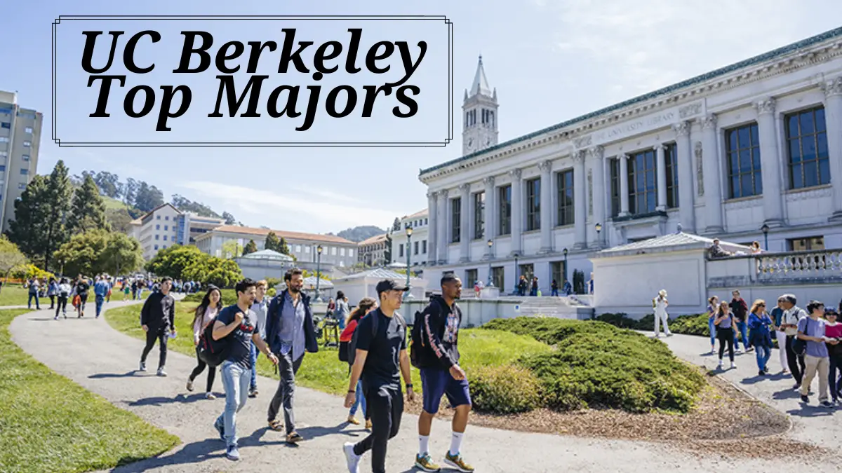 UC Berkeley Top Majors